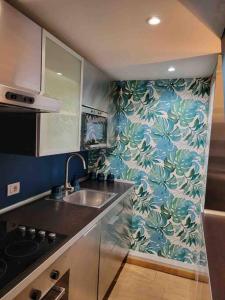 尼斯的住宿－06A4 - Situation exceptionnelle au Port de Nice，厨房配有水槽和蓝色绿色壁纸