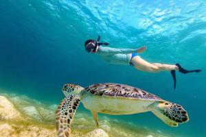 a person swimming next to a turtle in the ocean at Aqua Marine Beach Hotel in Kalkudah