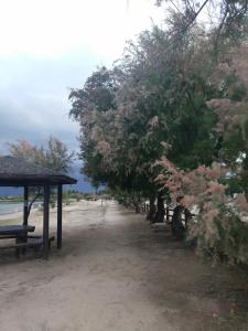 un parque con árboles y un banco en la playa en Las Banderas, en Villafranca de los Caballeros