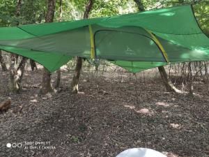 Le tent'suspendu في مونْكاري: خيمة خضراء في وسط غابة