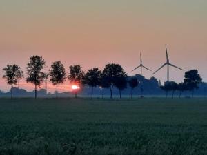 eine Gruppe von Windmühlen auf einem Feld bei Sonnenuntergang in der Unterkunft Seeblick - a27007 in Büsumer Deichhausen