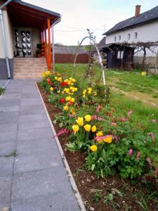 a garden of flowers in front of a house at Kökörcsin Vendégház in Tornaszentandrás