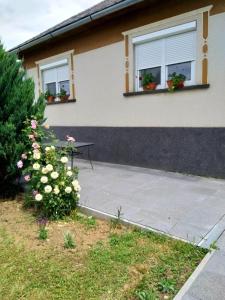 a house with two windows and flowers in front of it at Kökörcsin Vendégház in Tornaszentandrás