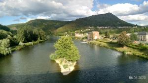 een boom in het midden van een rivier bij B.B.Home in Revin
