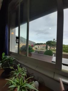 okno z roślinami i widokiem na pole w obiekcie Casa Marisa w mieście Palermo