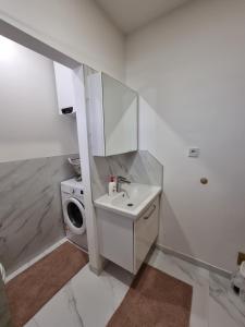 een badkamer met een wastafel en een wasmachine bij Lovely Apartment Sarajevo in Sarajevo