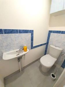 La salle de bains est pourvue de toilettes et d'un lavabo. dans l'établissement Élégant appartement Vatan centre, à Vatan