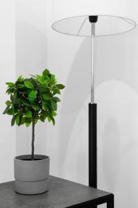 a potted plant sitting on a table next to a lamp at Vacacional in Laredo