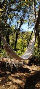 a hammock hanging from a tree in a forest at Morada do Xaxim - Chalé Hortência in São Francisco de Paula
