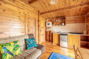 a living room with a couch in a log cabin at KARMAZYNOWY RAJ in Dąbki
