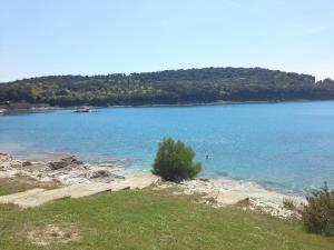 a view of a lake with a tree on the shore at Apartment Greta,50 METERS TO THE BEACH in Banjole
