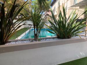 Swimmingpoolen hos eller tæt på Hotel Audi Frontemare