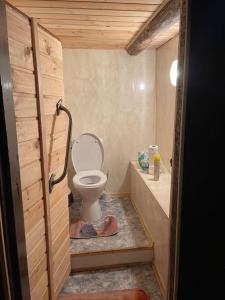 a small bathroom with a toilet and a sink at Дом на берегу Чудского озера in Katase