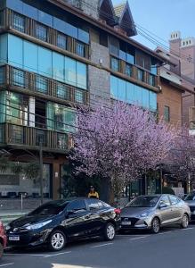 deux voitures garées devant un immeuble avec des arbres violets dans l'établissement LUXUOSO APT ALMERIS PECCIN no Centro de GRAMADO, à Gramado