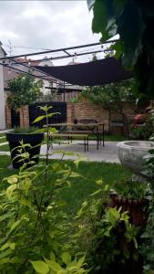 Zahrada ubytování Villa Luna