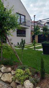 Zahrada ubytování Villa Luna