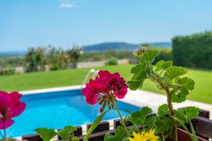 a view of a swimming pool with flowers next to it at Villa Poemia in Rogachevo