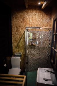 a bathroom with a shower and a toilet and a sink at Quinta da Mal-disposta, cabin lodge Countryhouse in Resende +54 photos
