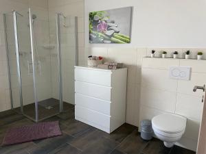 a bathroom with a toilet and a shower at Wohnung 13 in Wildeshausen