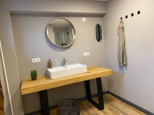 a bathroom with a sink and a mirror at Pension Sandfeld in Teterow