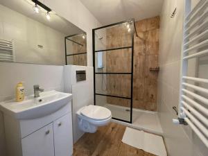 een badkamer met een toilet, een wastafel en een douche bij Willa MEWA in Jastarnia