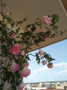 メンフィにあるRosso di Sera Loftの天井に吊るされたピンク色のバラ