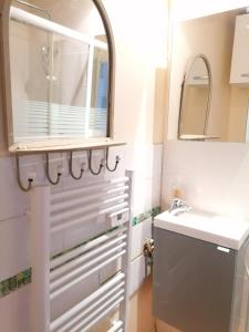 La salle de bains est pourvue d'un lavabo et d'un miroir. dans l'établissement Charmant Appartement 10mn Rouen, à Franqueville-Saint-Pierre