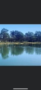 Gallery image of Glampingzelt Heide - Lodge in Soltau