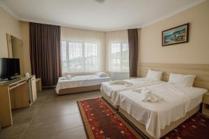 a hotel room with two beds and a television at Villa Viktor in Topola +60 photos