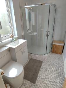uma casa de banho com um chuveiro, um WC e um lavatório. em Scottish sea view near beach em Cockburnspath