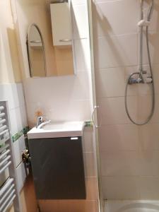 La salle de bains est pourvue d'un lavabo et d'une douche avec un miroir. dans l'établissement Charmant Appartement 10mn Rouen, à Franqueville-Saint-Pierre