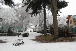 a yard covered in snow with trees and a house at LA PONDEROSA Apart Hotel in San Carlos de Bariloche