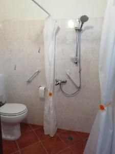 een badkamer met een douche, een toilet en een douchegordijn bij La Cantinetta di Barberino in Greve in Chianti +7 foto's