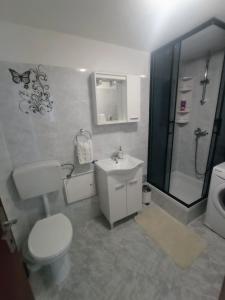 a bathroom with a toilet and a sink and a shower at Apartments Ivica Split in Split