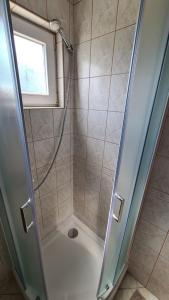 een douche met een glazen deur in de badkamer bij Apartman Ivanka in Vir