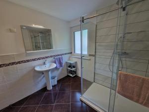 y baño con ducha acristalada y lavamanos. en House Utrinek with free play room, jacuzzy and garage, en Podbrdo
