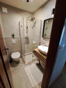 a bathroom with a shower and a toilet and a sink at Guesthouse Tamara in Lovište