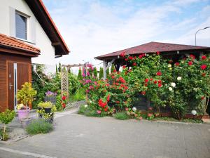 ogród kwiatów przed domem w obiekcie Pokoje Gościnne u Joli w mieście Pogórze