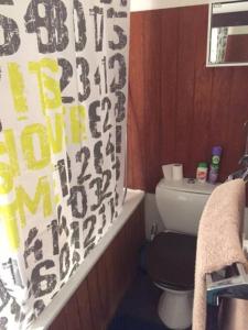 een badkamer met toilet en douchegordijn bij J'Aime la montagne in Mâcot La Plagne +22 foto's