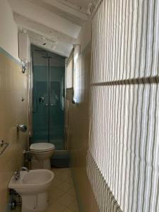 een badkamer met een toilet, een douche en een wastafel bij La mansardina in Trieste