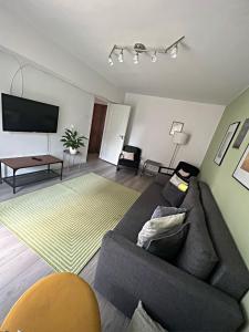 sala de estar con sofá y TV de pantalla plana en Green Apartament, en Sovata