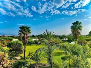 un grupo de palmeras en un campo en Les jardins d isis en Marrakech