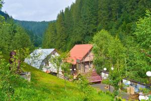 a house on the side of a hill with trees at Садиба Бункер ЧАН in Mizhhirʼʼya