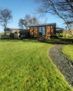 a cabin in a field with a grass yard at the cwch in Llanbister
