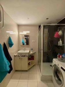 y baño con ducha, lavabo y lavadora. en Apartament przy Parku Śląskim, en Katowice