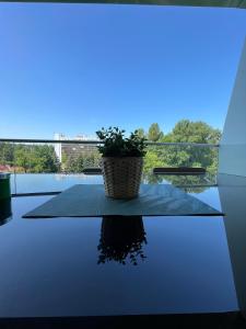 Mistral Helka Apartman 8623 Balatonföldvár, 1 Motel sétány kép - 2