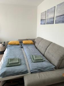 un sofá con 2 almohadas en la sala de estar en Mistral Helka Apartman, en Balatonföldvár