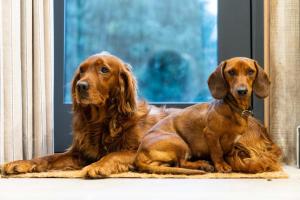 Billede fra billedgalleriet på Hailes - a newly converted barn on our farm between Stratford upon Avon and the Cotswolds i Evesham + 10 billeder