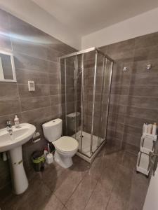 a bathroom with a shower and a toilet and a sink at Theodoros Apt.79 in Paralimni