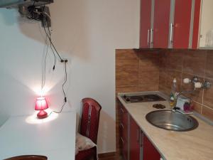 Kuchyň nebo kuchyňský kout v ubytování Apartment Jelaca